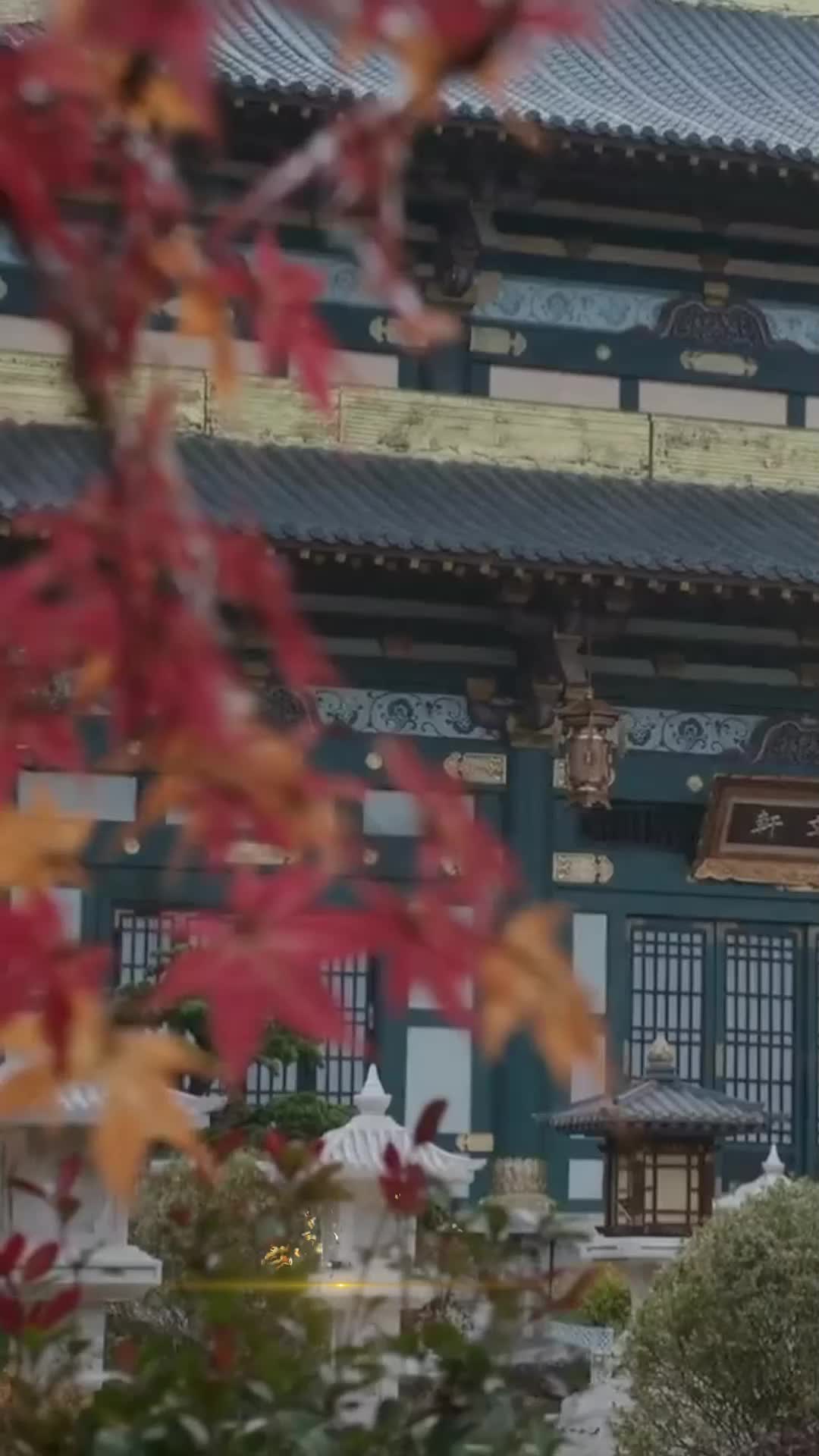 大夏第一個狠人 第11集