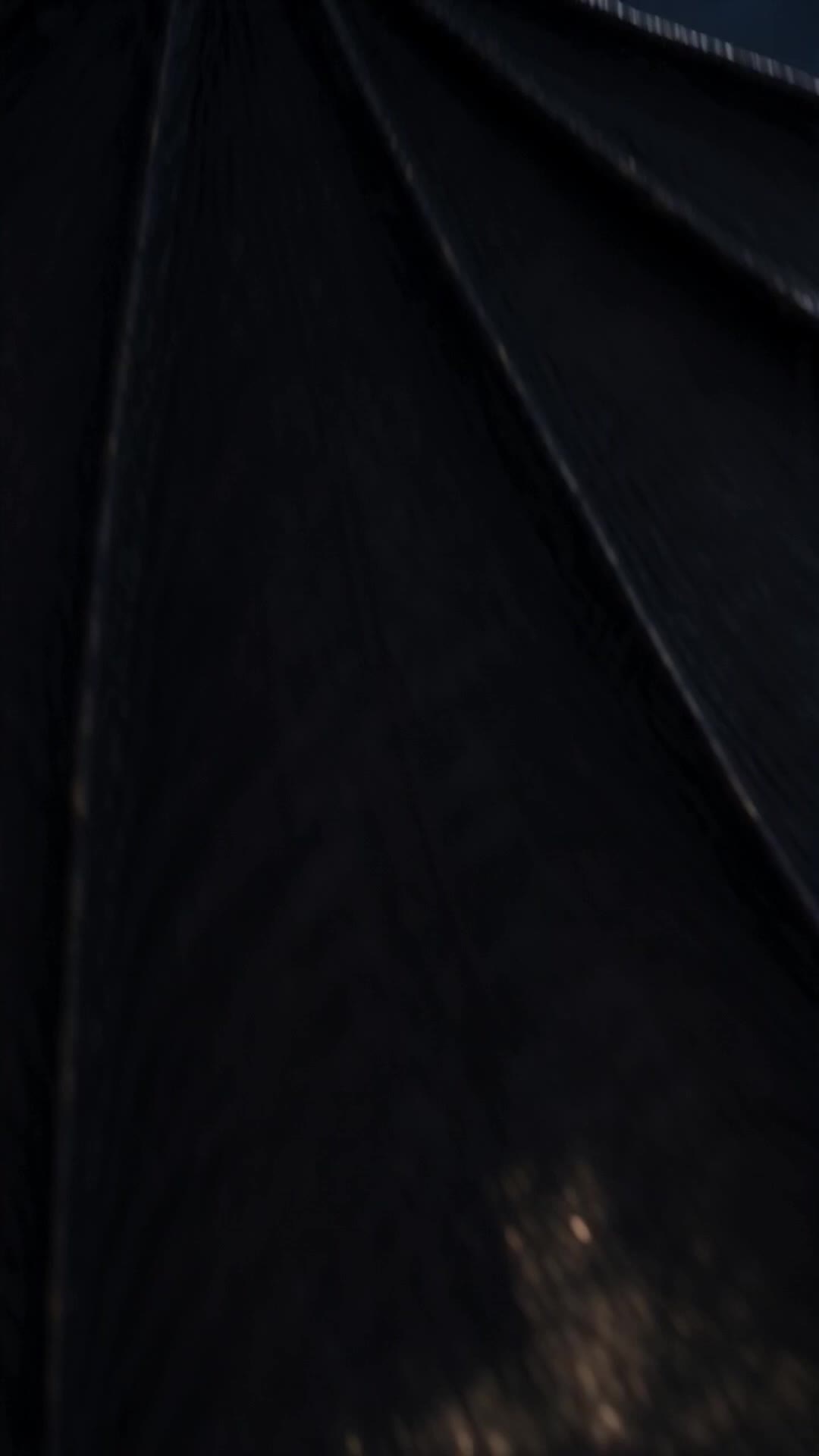 The Forsaken Dragon Heir Episode 11