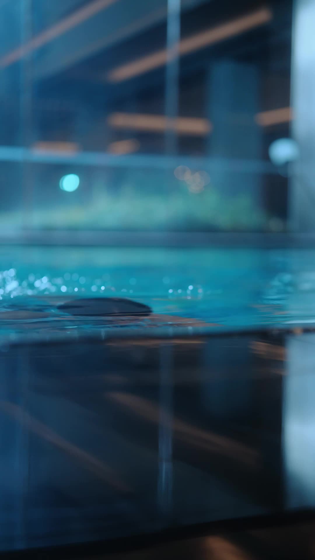 El amor llega por segunda vez Episodio 1