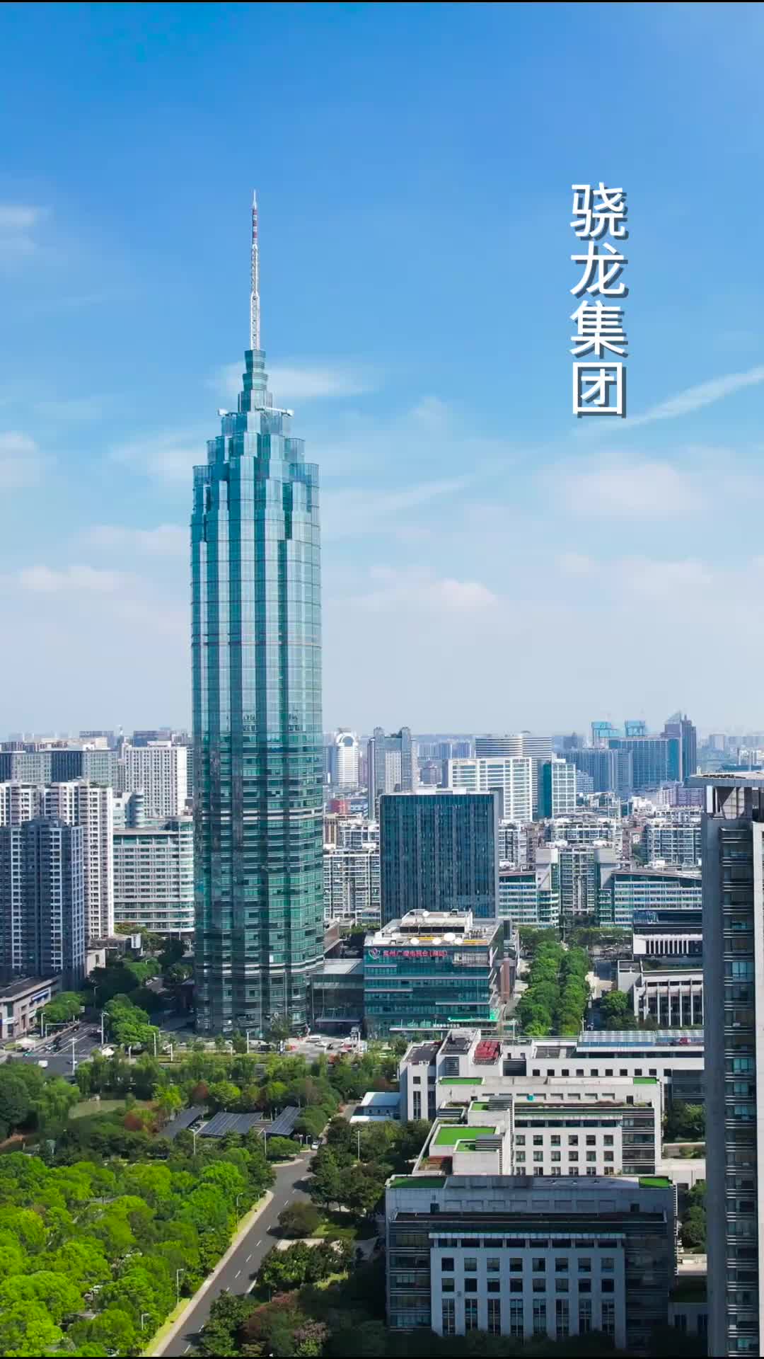 回村过年之龙凤呈祥 第1集