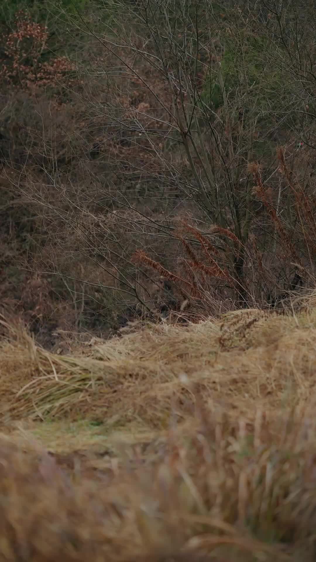 Ep 77
