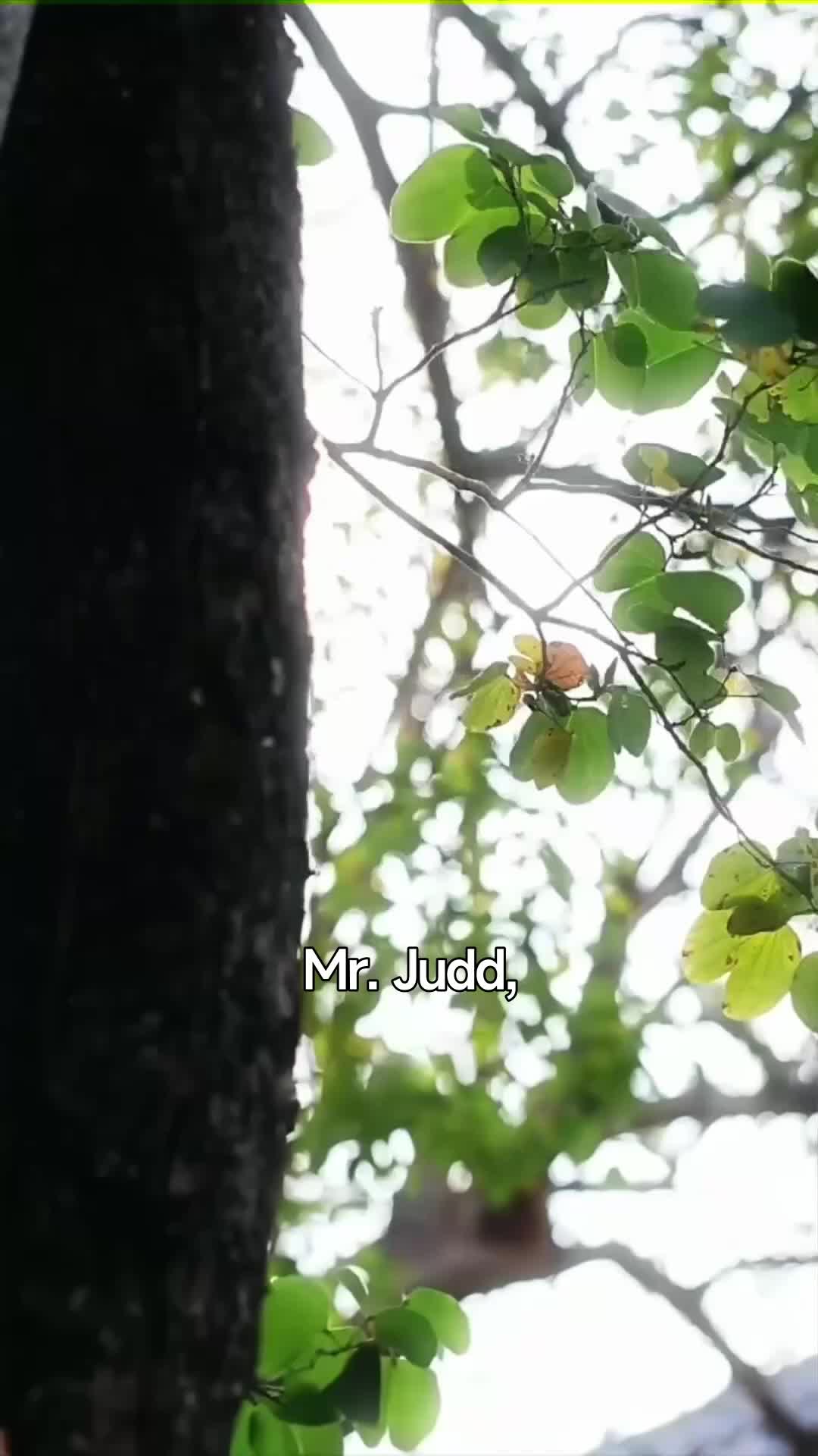 Ep 9