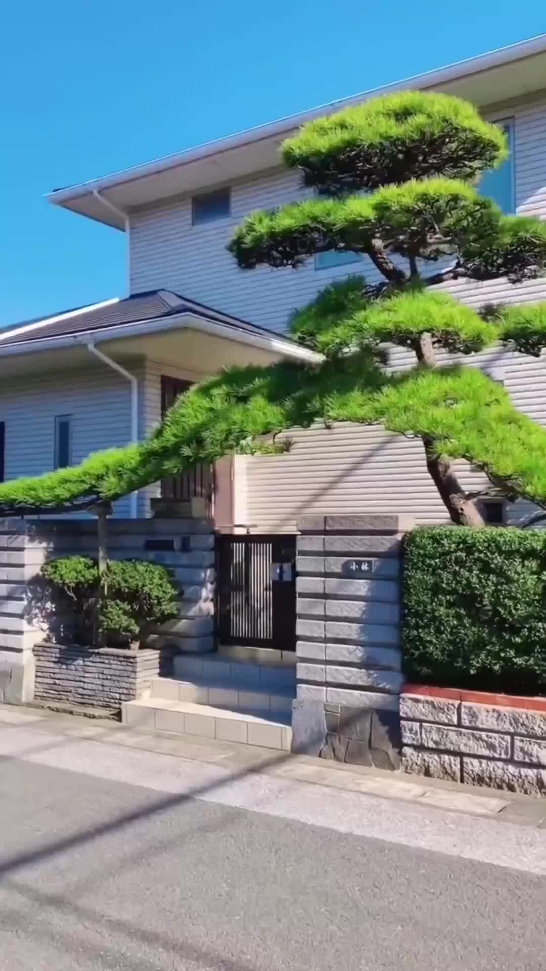 Ep 23