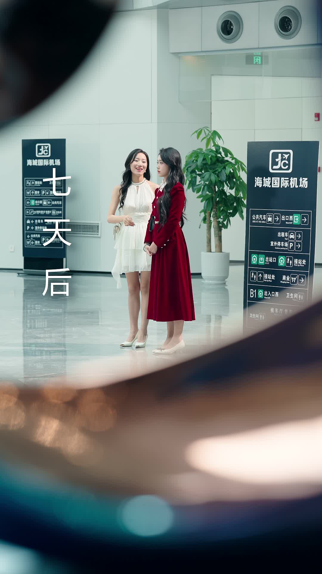 不做替身后，和前任她姐结婚了 第5集