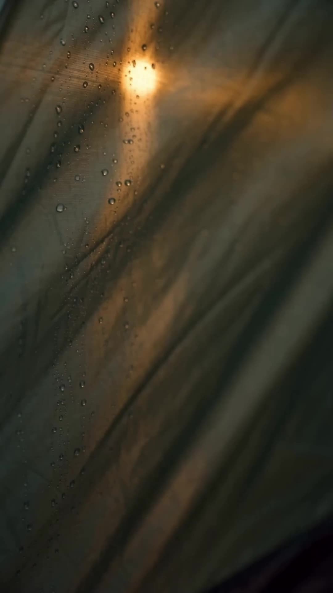 Forbidden Pulse in the Rain Episode 6