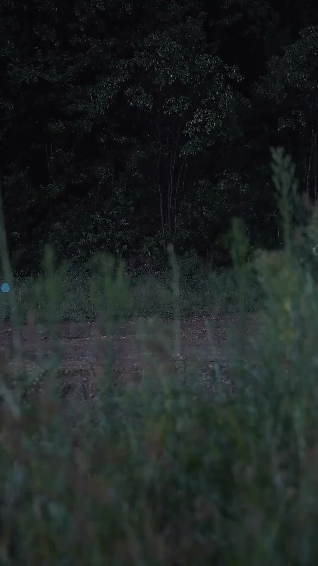 Ep 1