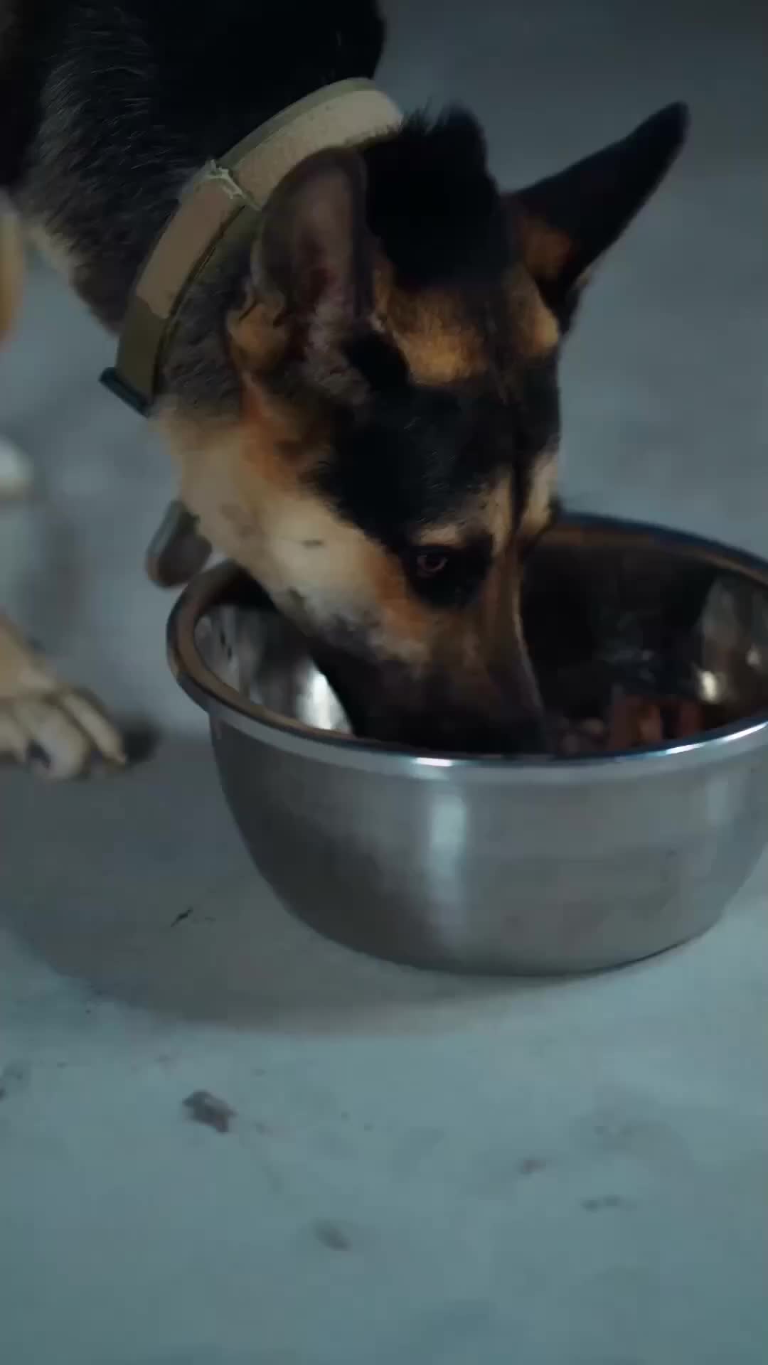 Lepas Dari Luka, Raih Bahagia - Episode 30 - Episode 30