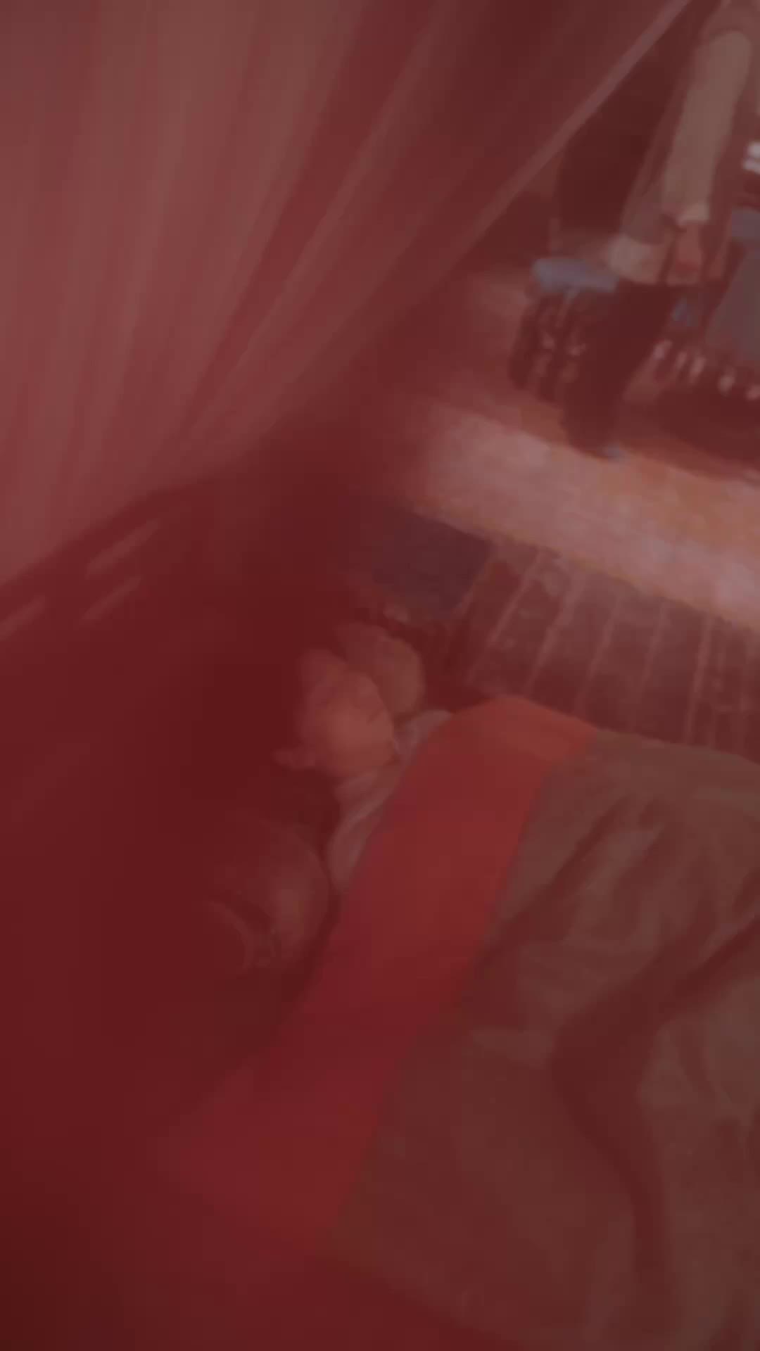 寒門棄學？我十二歲連中三元！ 第1集