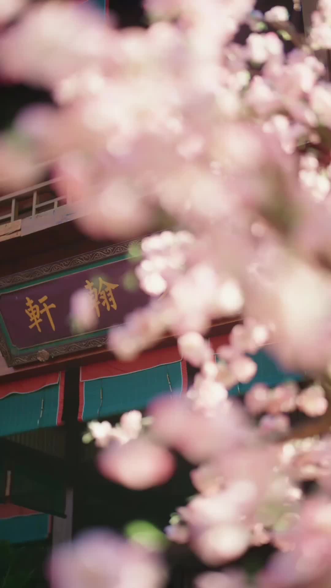 Ep 29