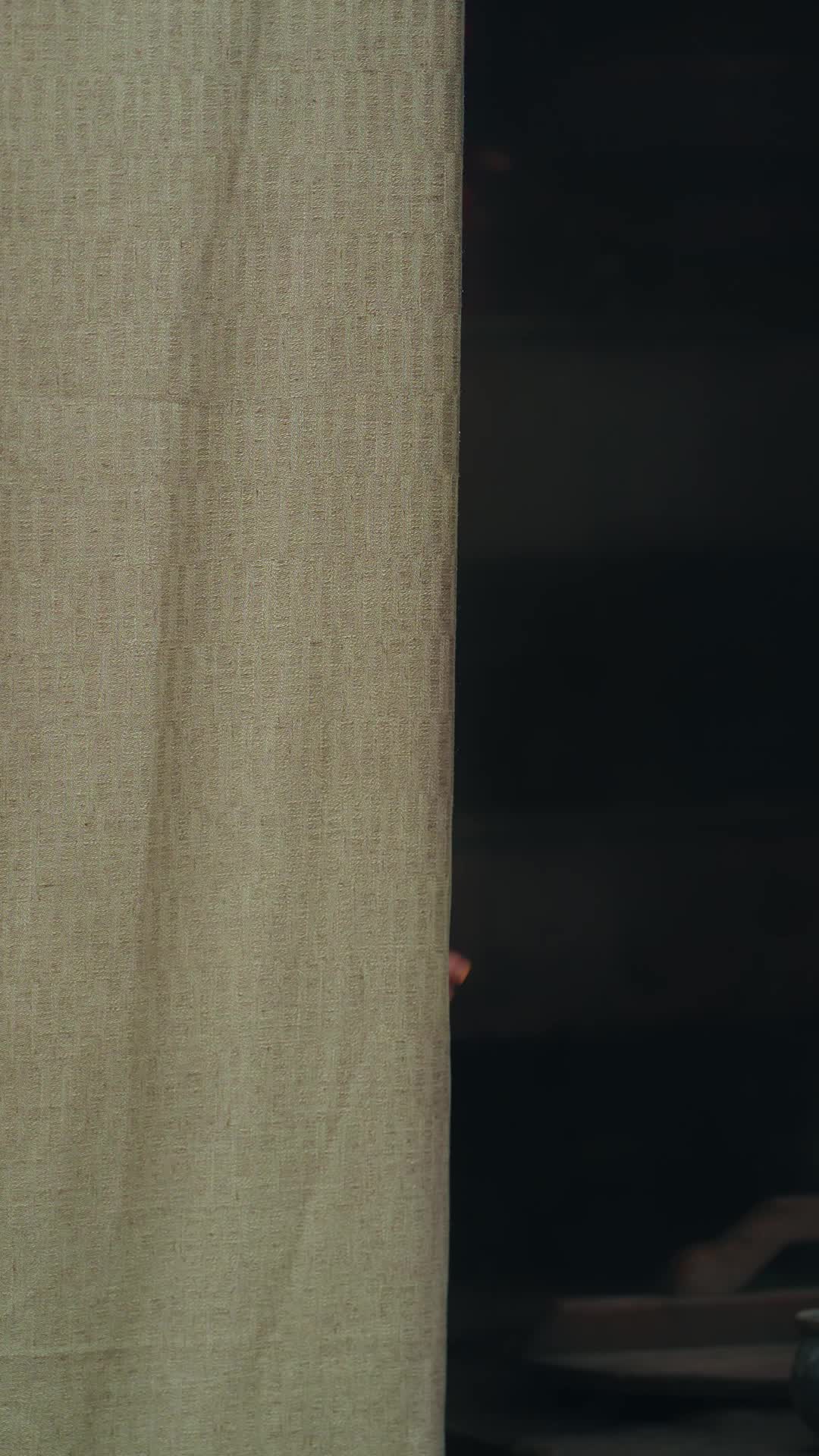 空間在手,小農女受盡千般寵 第11集