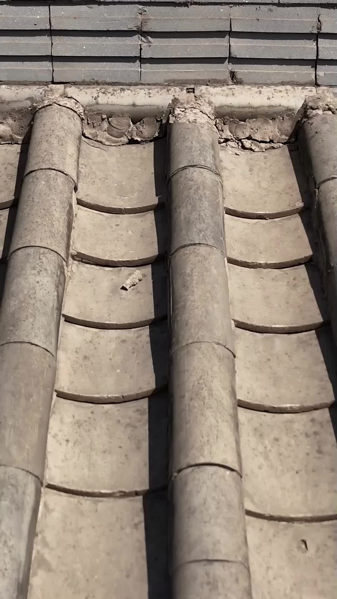 Ep 1