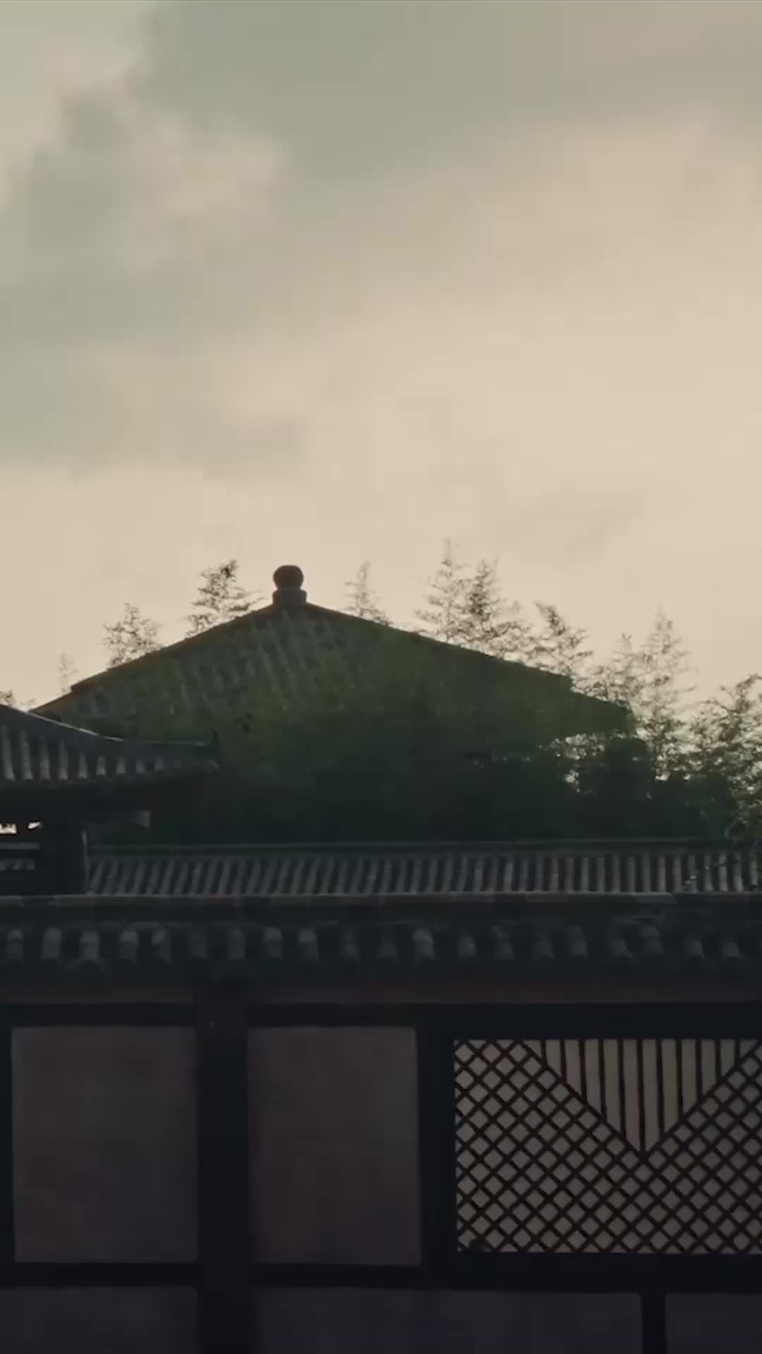 不识云间月 第8集