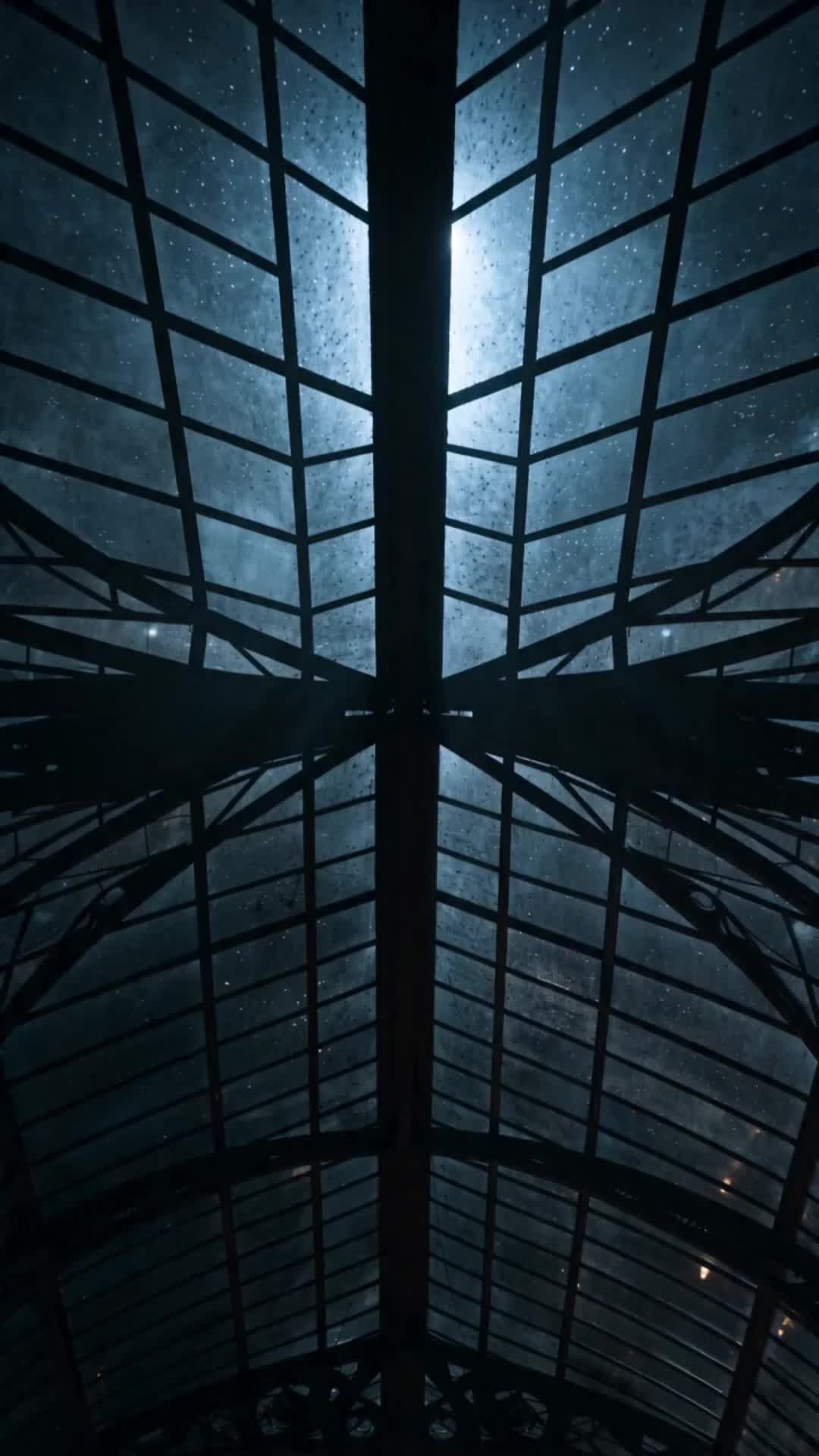 Fantastic Beasts and the Night Keeper Episode 5