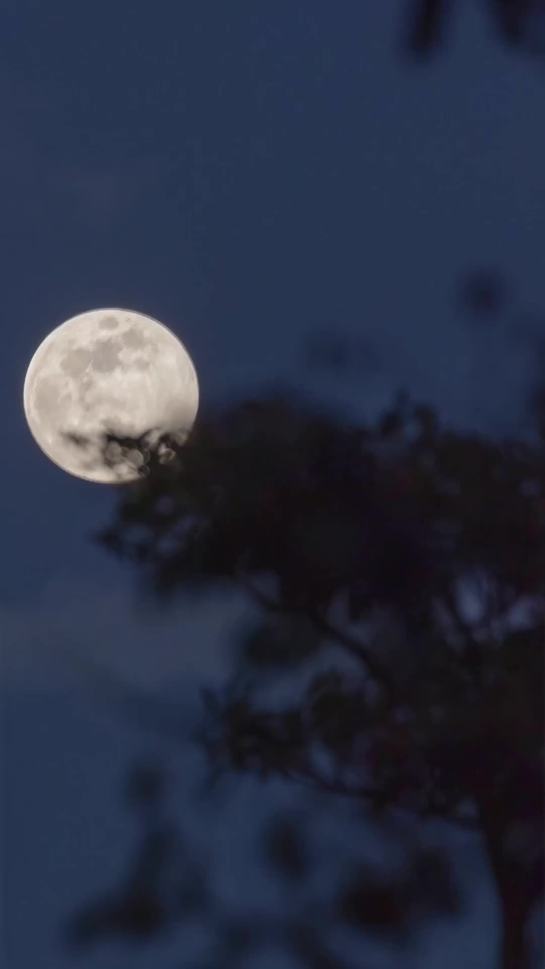 Setelah Cinta Terlambat Datang - Episode 76 - Episode 76