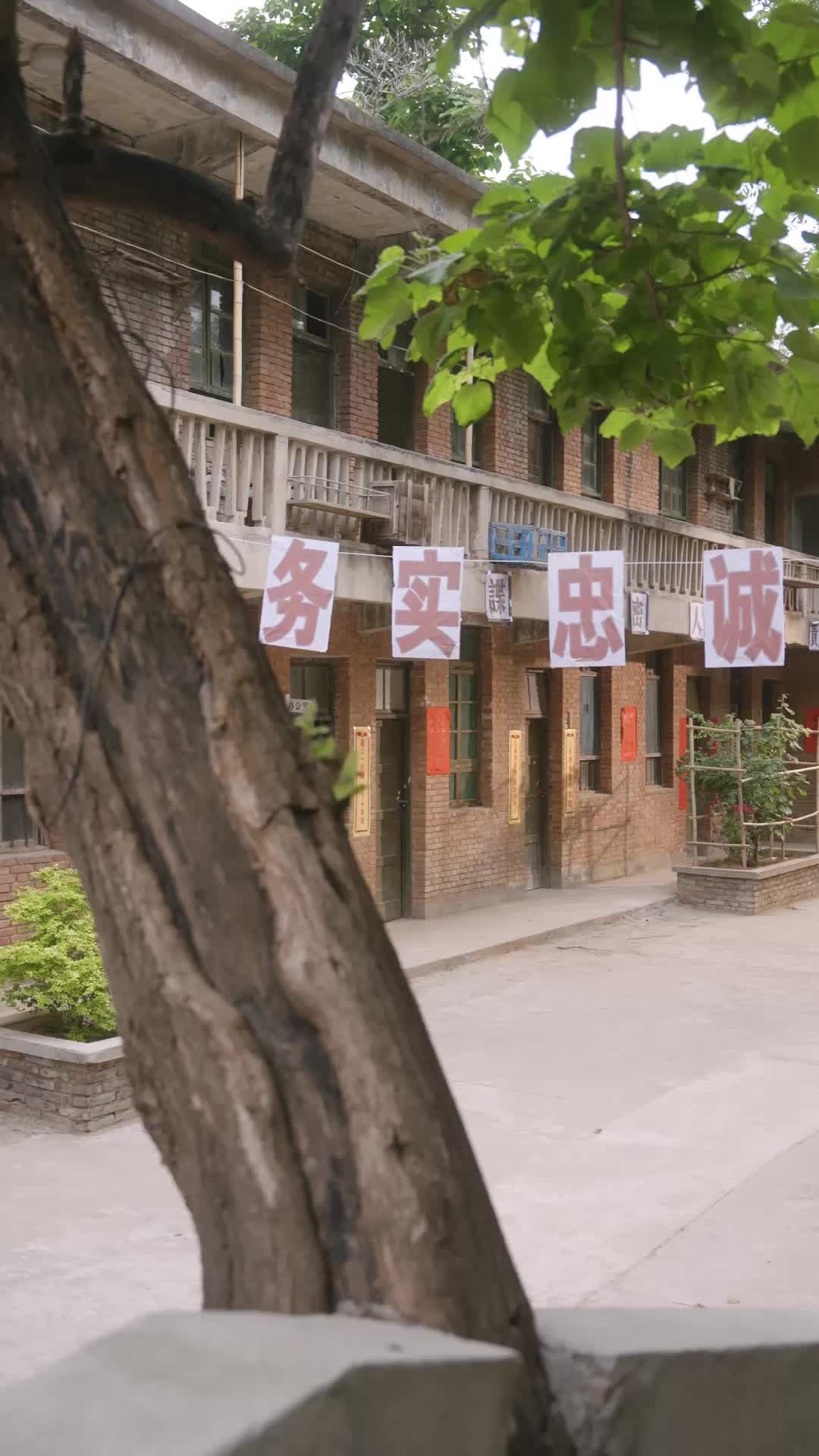 重生七零，我改嫁冷面團長當奶爸 第11集