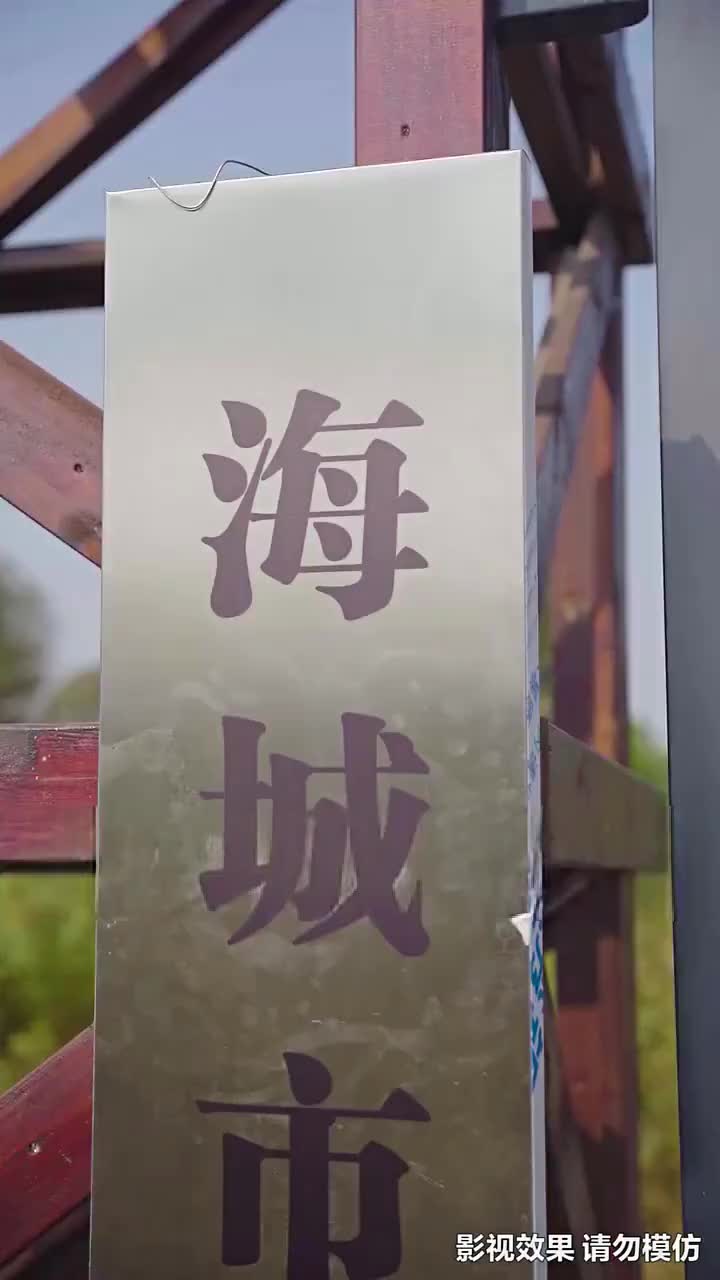 天降總裁老公 第3集