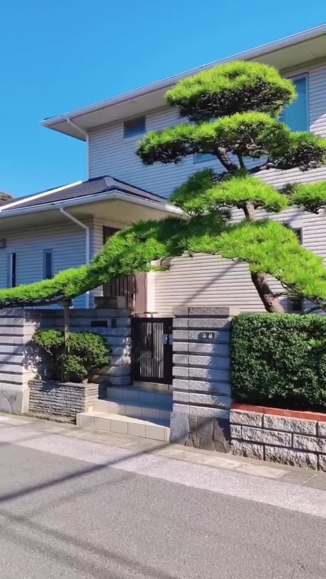 与温柔同行 第8集