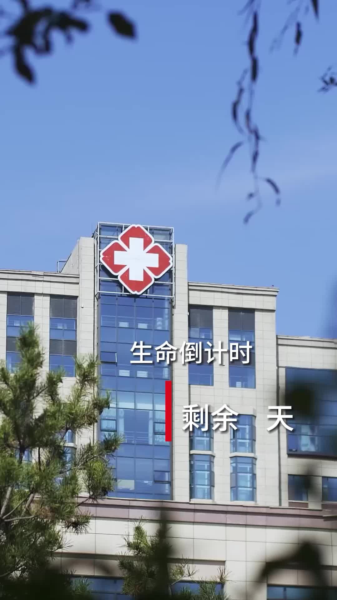 此生与亲恩两清 第4集