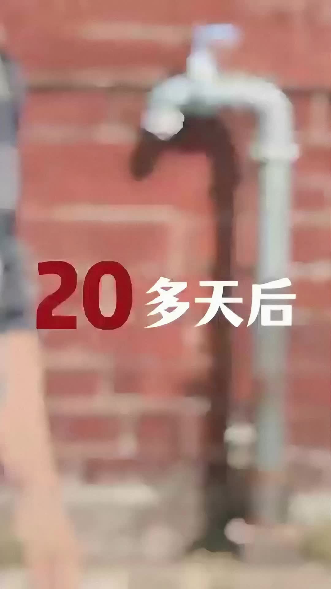 重生高溫末世前，我成了最後贏家 第10集
