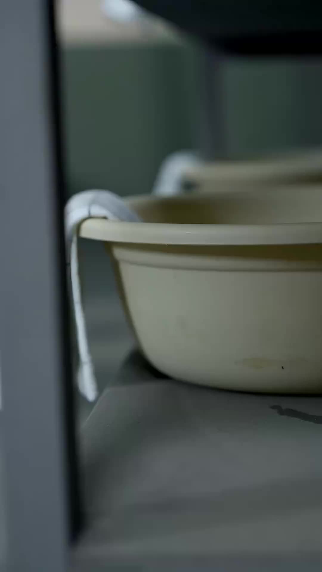 Attenzione! Il Genero Inarrestabile Fa Ritorno Episodio 1