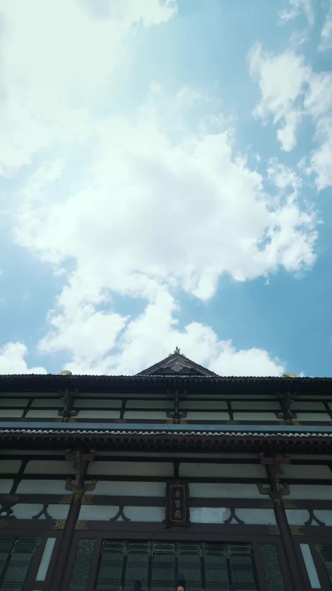 梧桐引 第1集