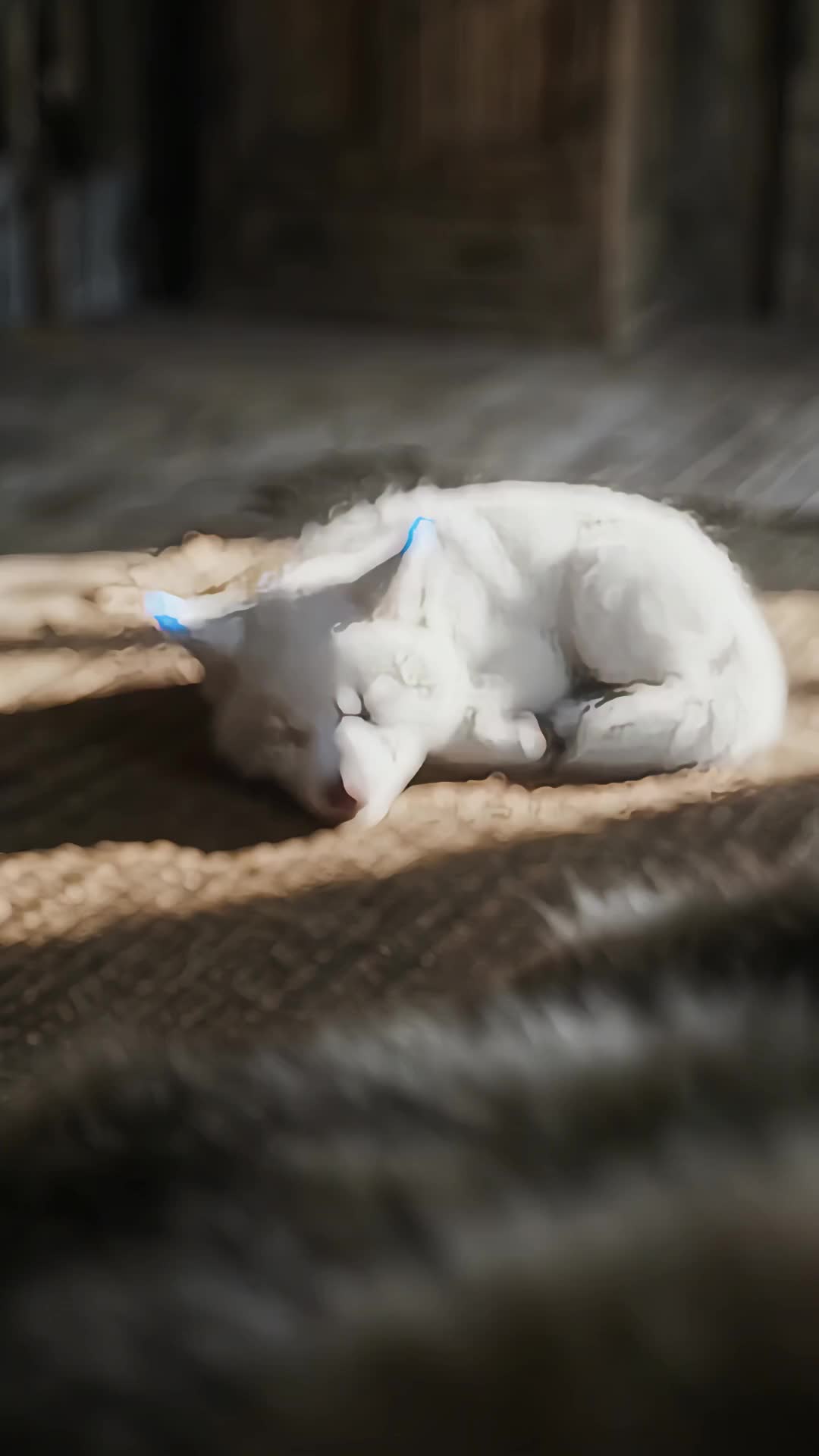 The Alpha's Secret Pup Episode 4