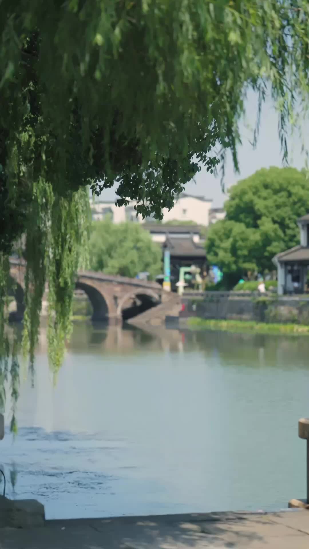 從協議開始的心動 第4集