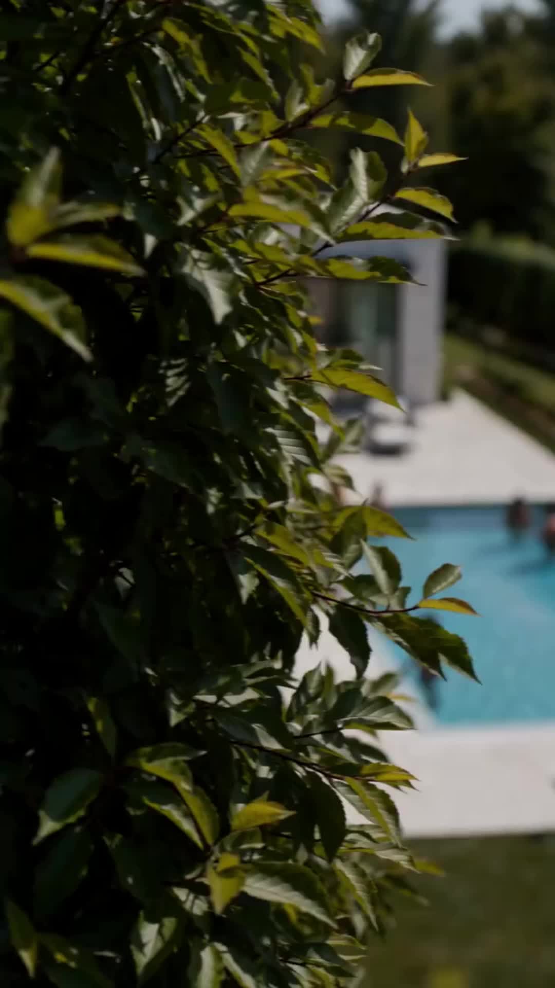Secretly Pregnant with the Billionaire's Daughter Episode 1