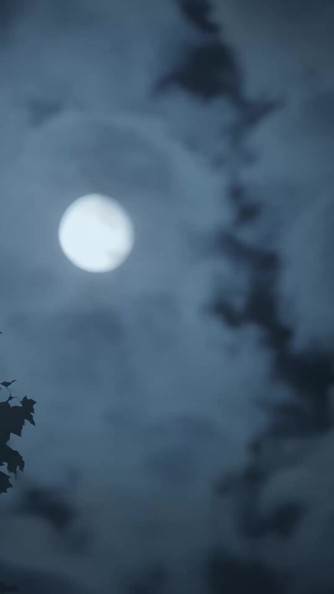 A Luna Rejeitada É a Alfa 1Episódio