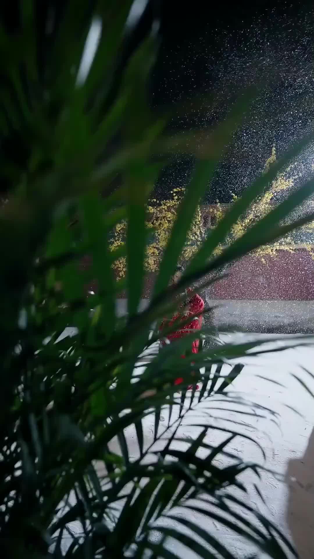 Selir yang Mengubah Takdir - Episode 1 - Episode 1