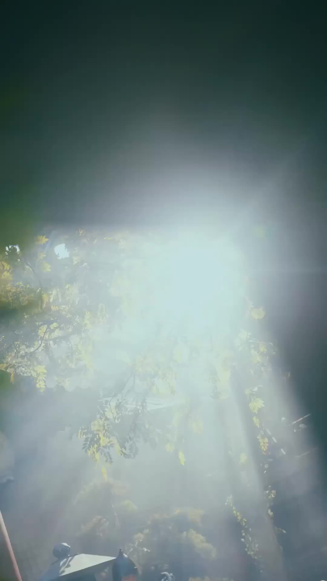 Hati Pangeran yang Membeku - Episode 29 - Episode 29