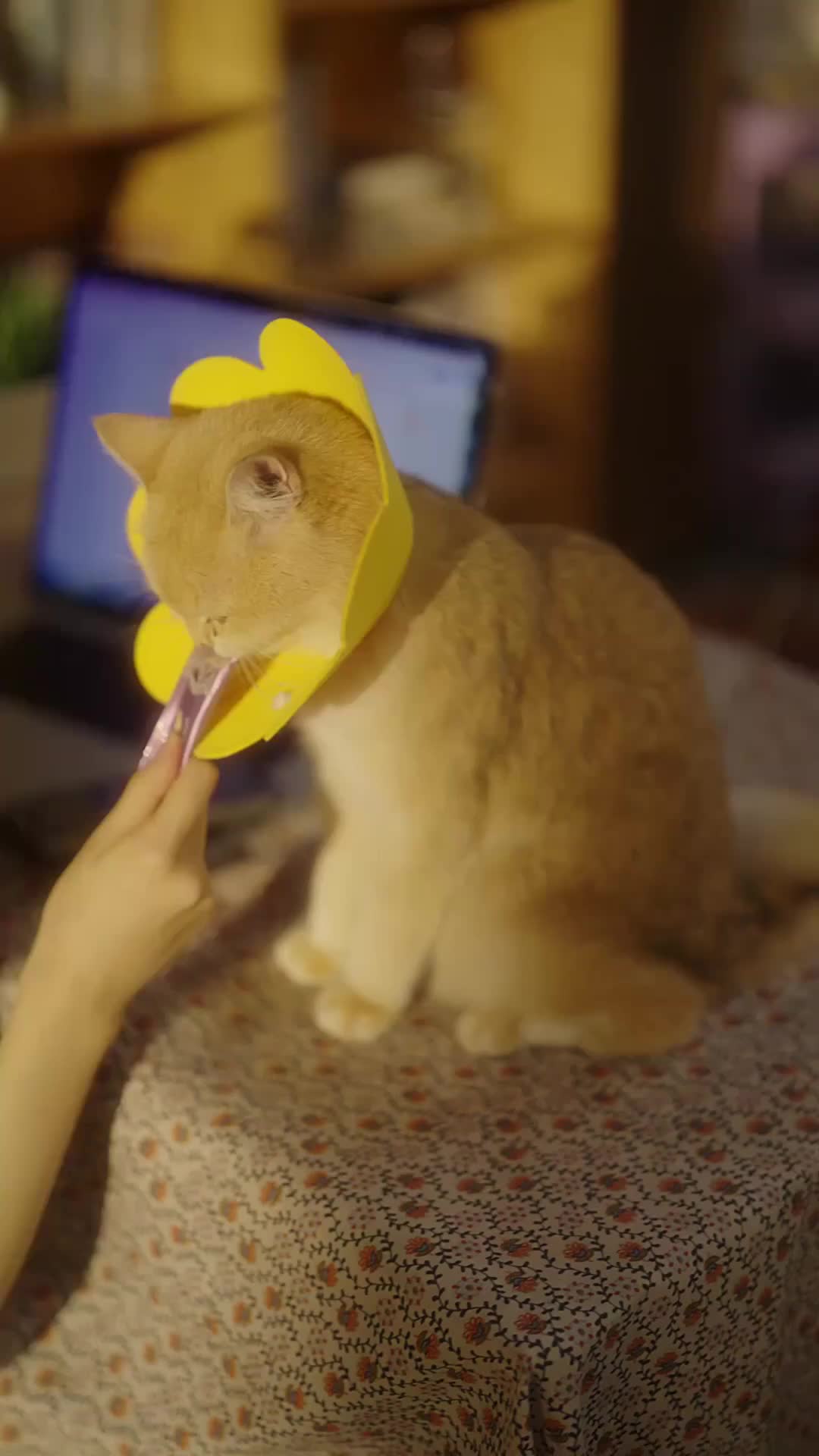 My Unexpected Lucky Charm Episode 3