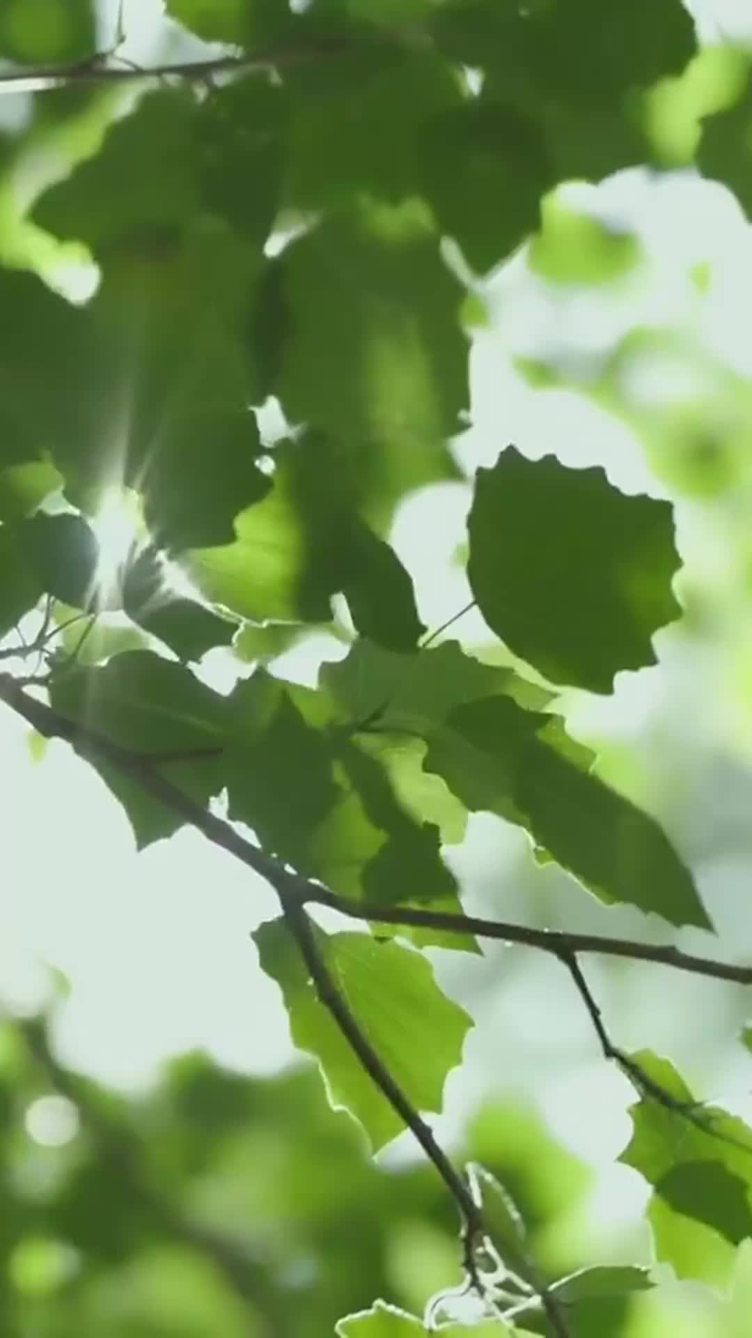 Ep 26