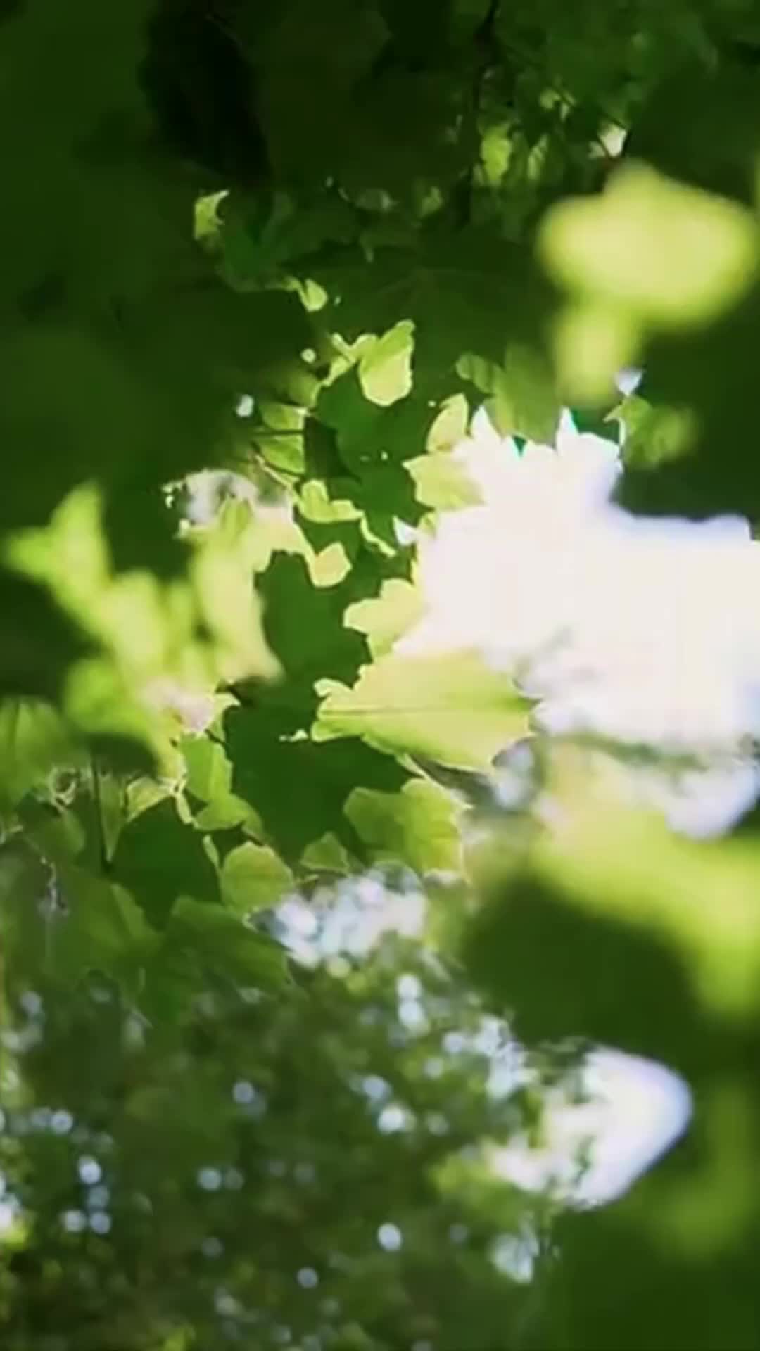 Dari Peluru Menjadi Cinta - Episode 68 - Episode 68