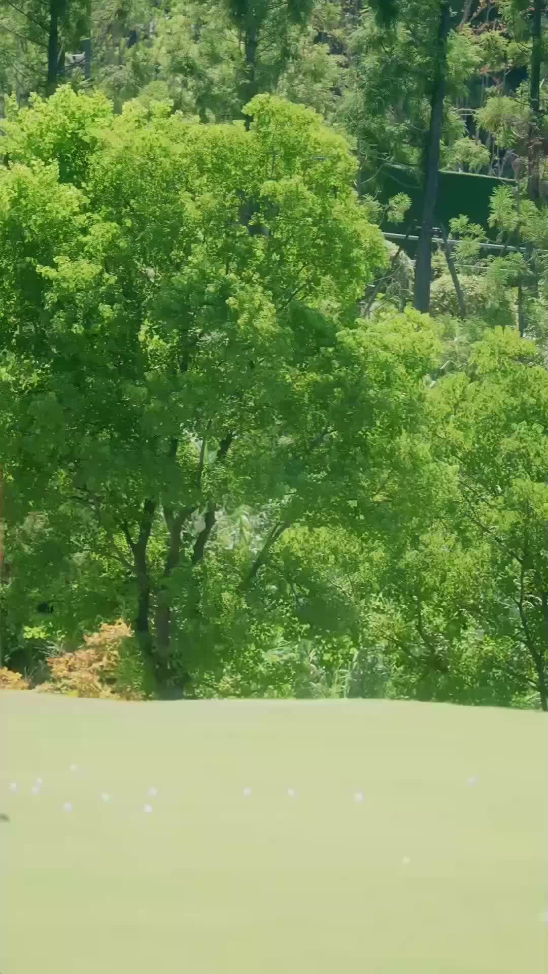 Pria Jahat VS Kelinci Polos - Episode 23 - Episode 23