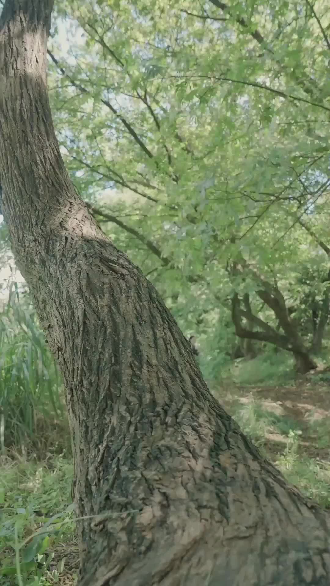 Ep 39