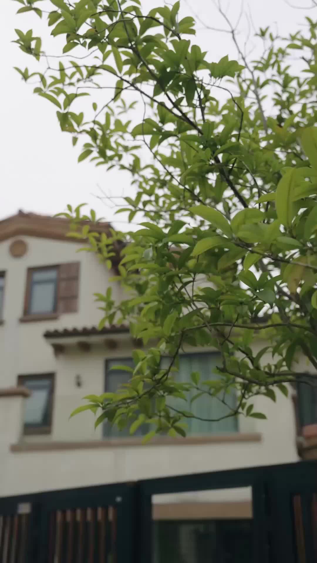 Ep 4