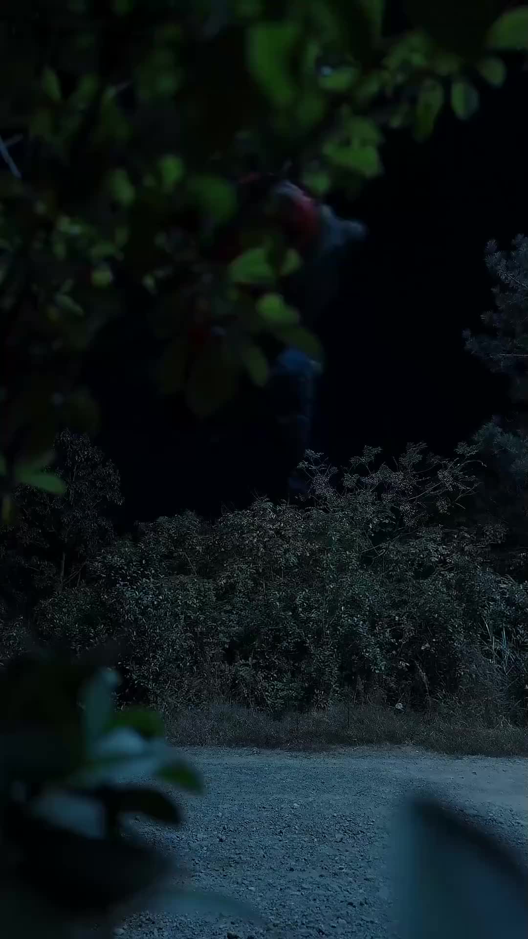 Ep 16
