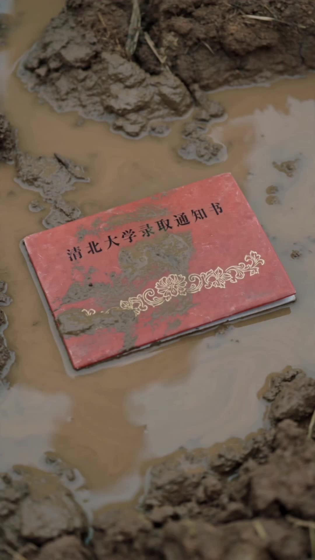 一頭牛,一本錄取通知書 第2集