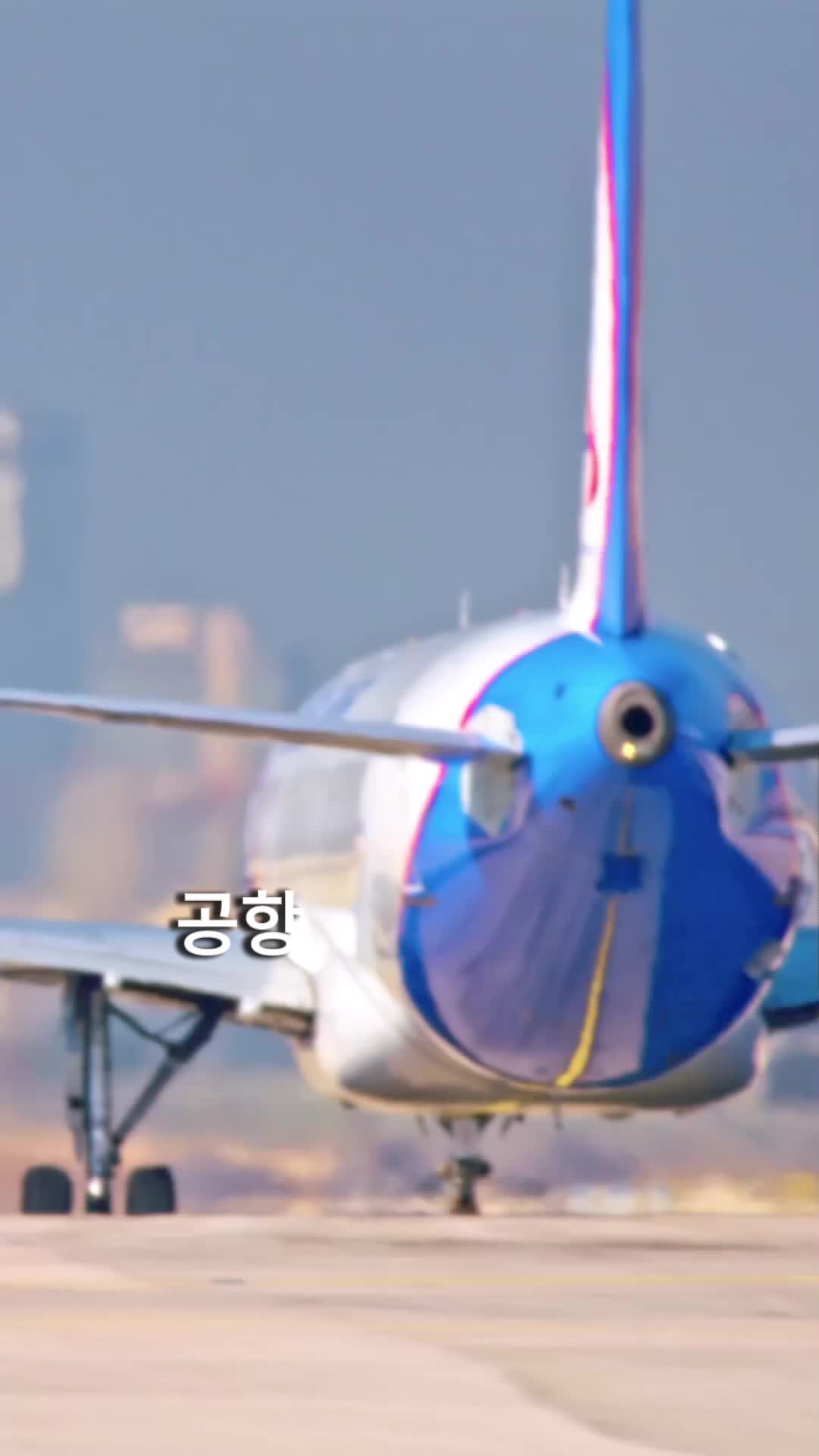 이혼은 결혼식에서 제1회
