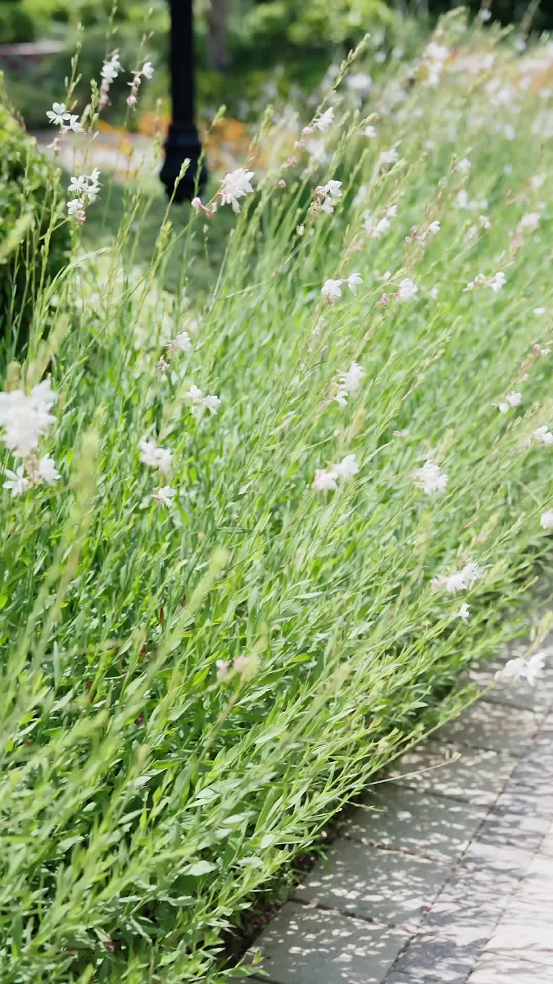 Luka di Ujung Pendengaran - Episode 1 - Episode 1