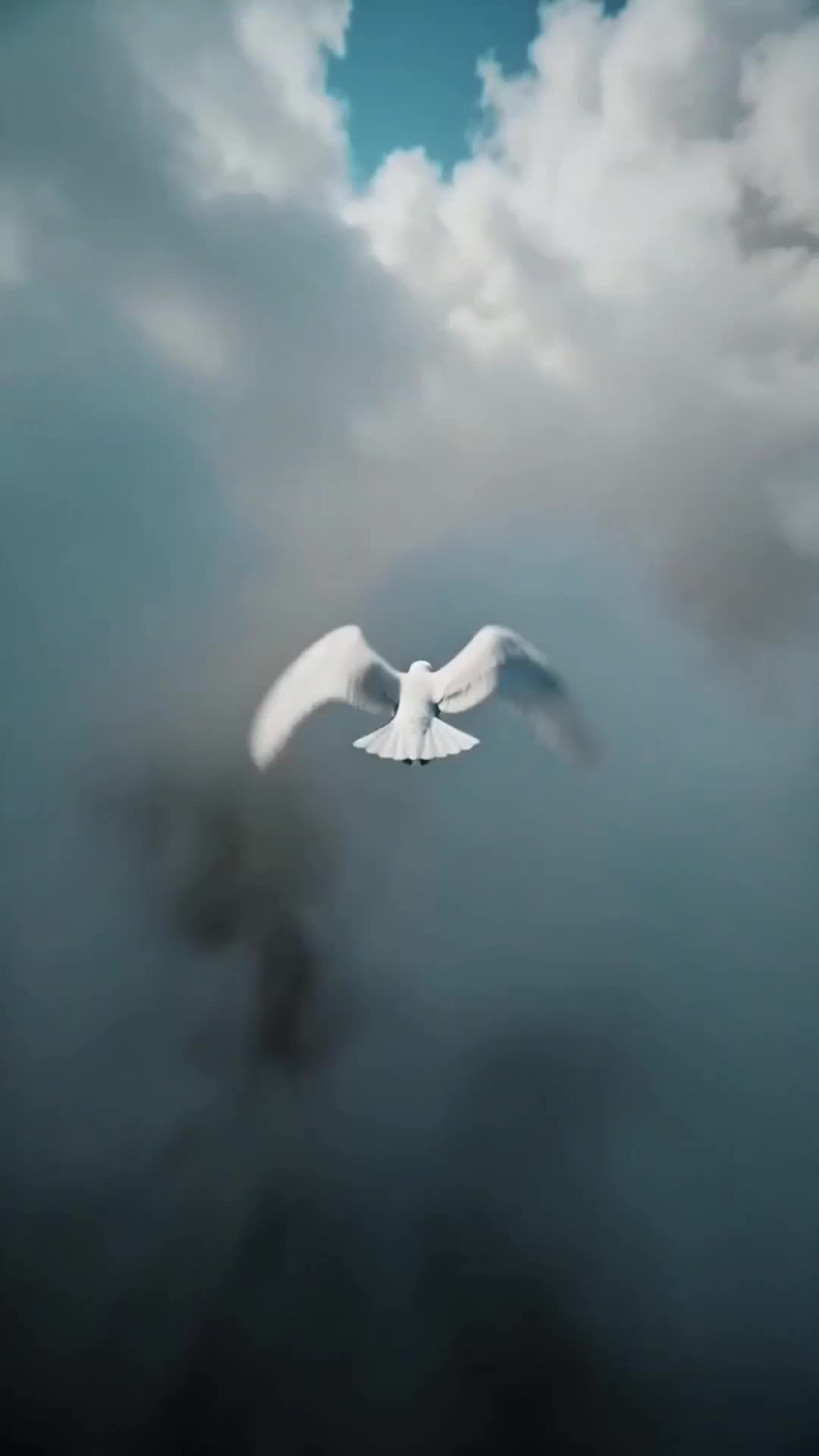 Mon Ange de la Fortune m'a Couronnée Reine ( Doublé ) Épisode1