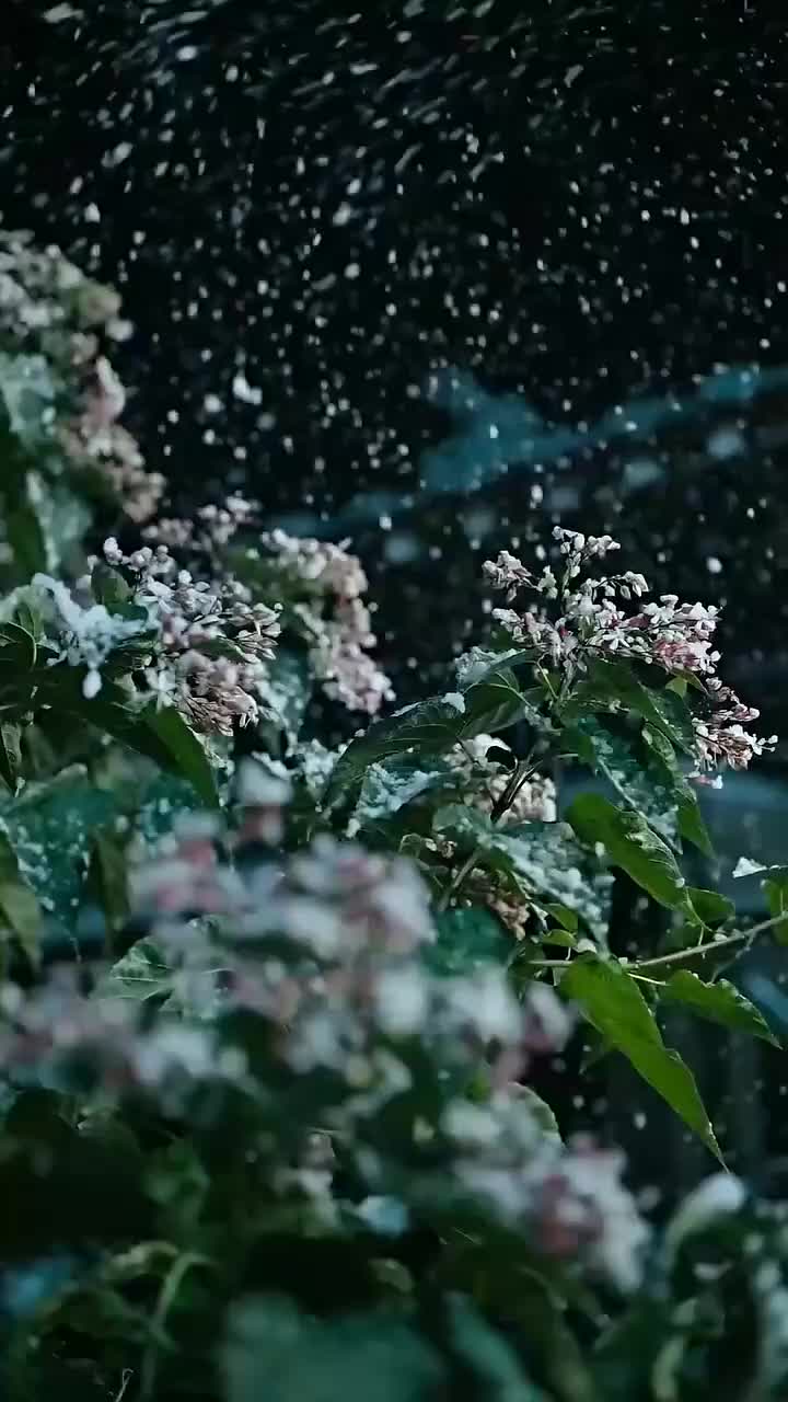 절세광인 제1회