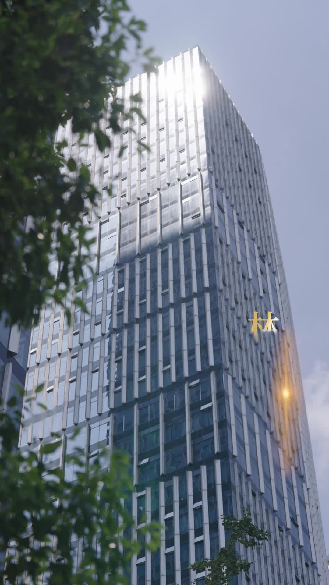 龍王歸來鎮豪門 第11集