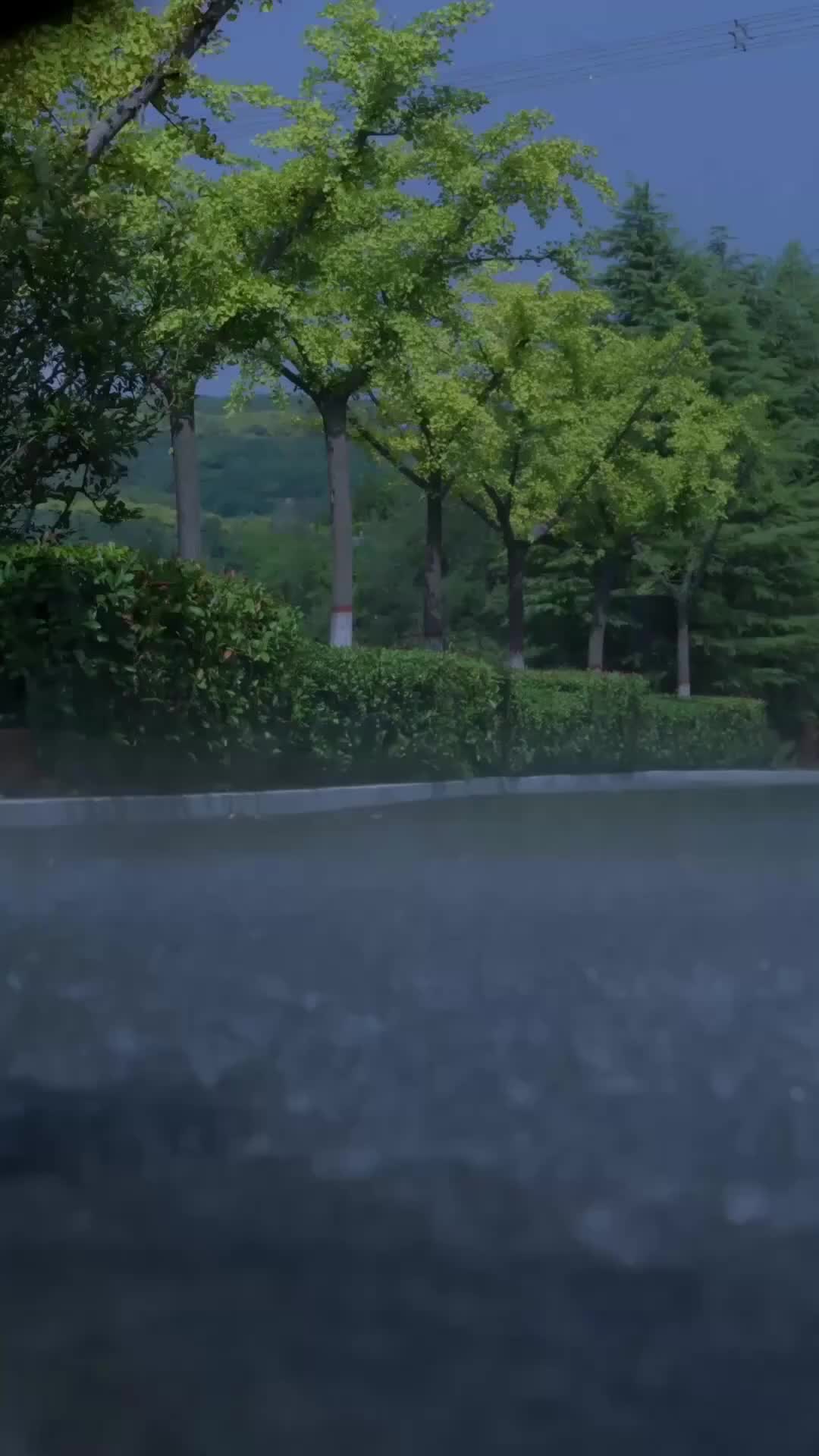 Ep 1