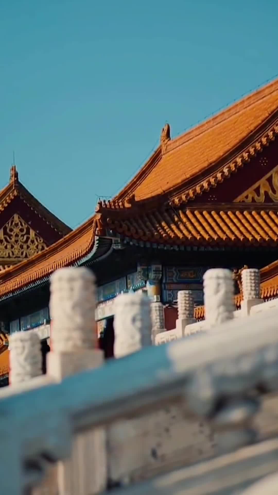 Ep 49