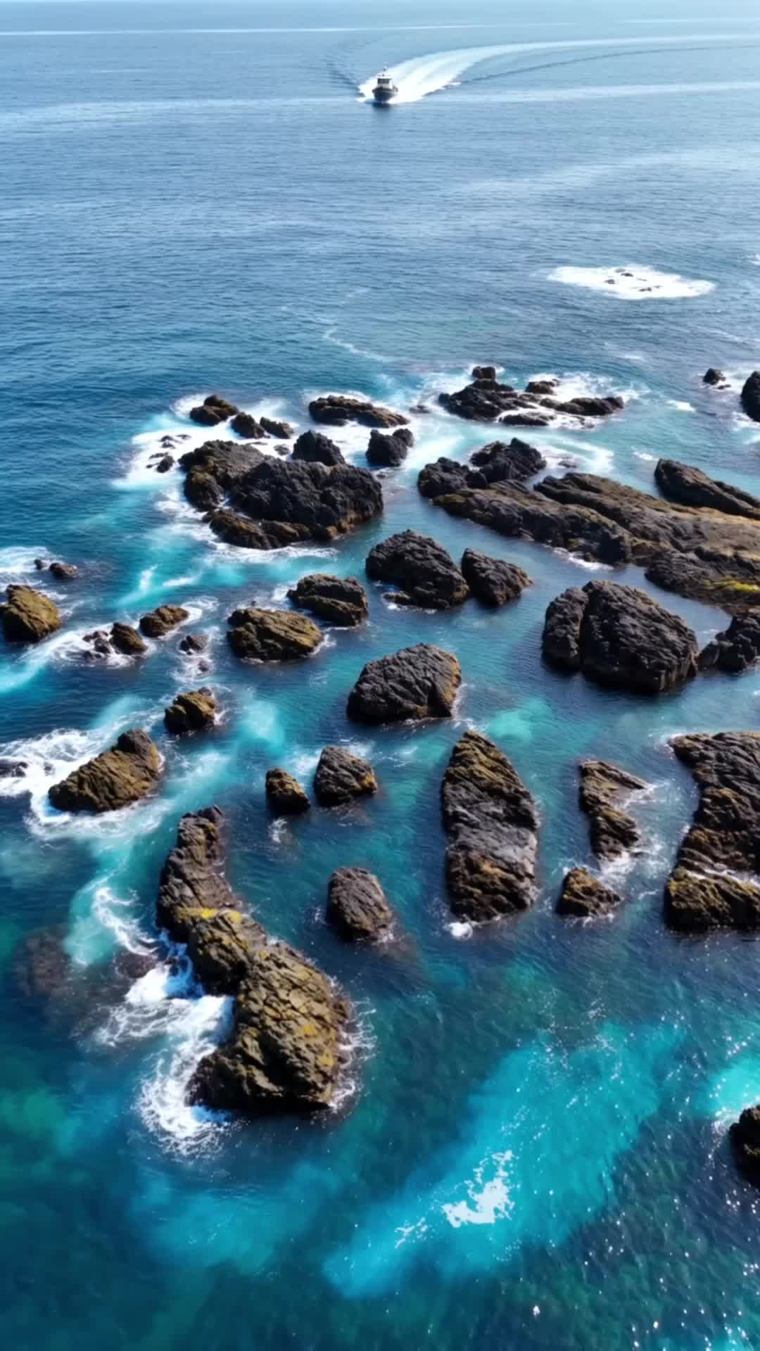 怒海狂潮：穿越死亡海 第9集