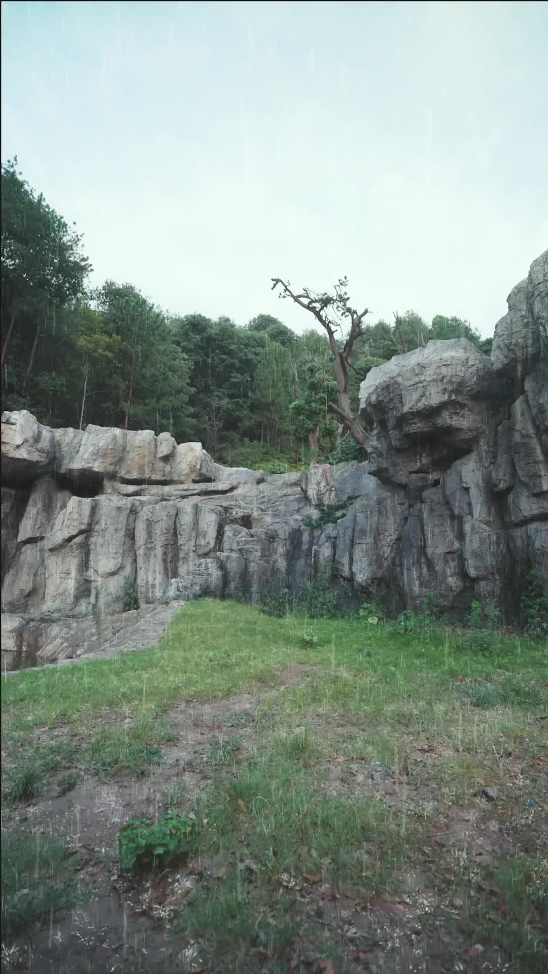 Ep 7