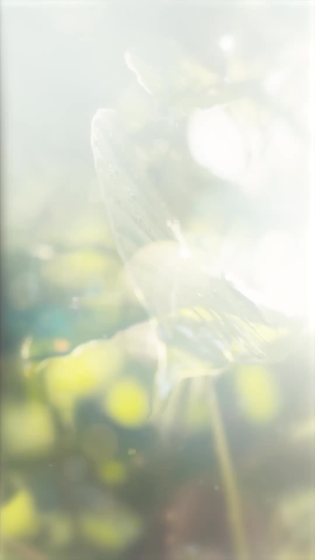 Ciumanmu Mengubah Duniaku - Episode 1 - Episode 1