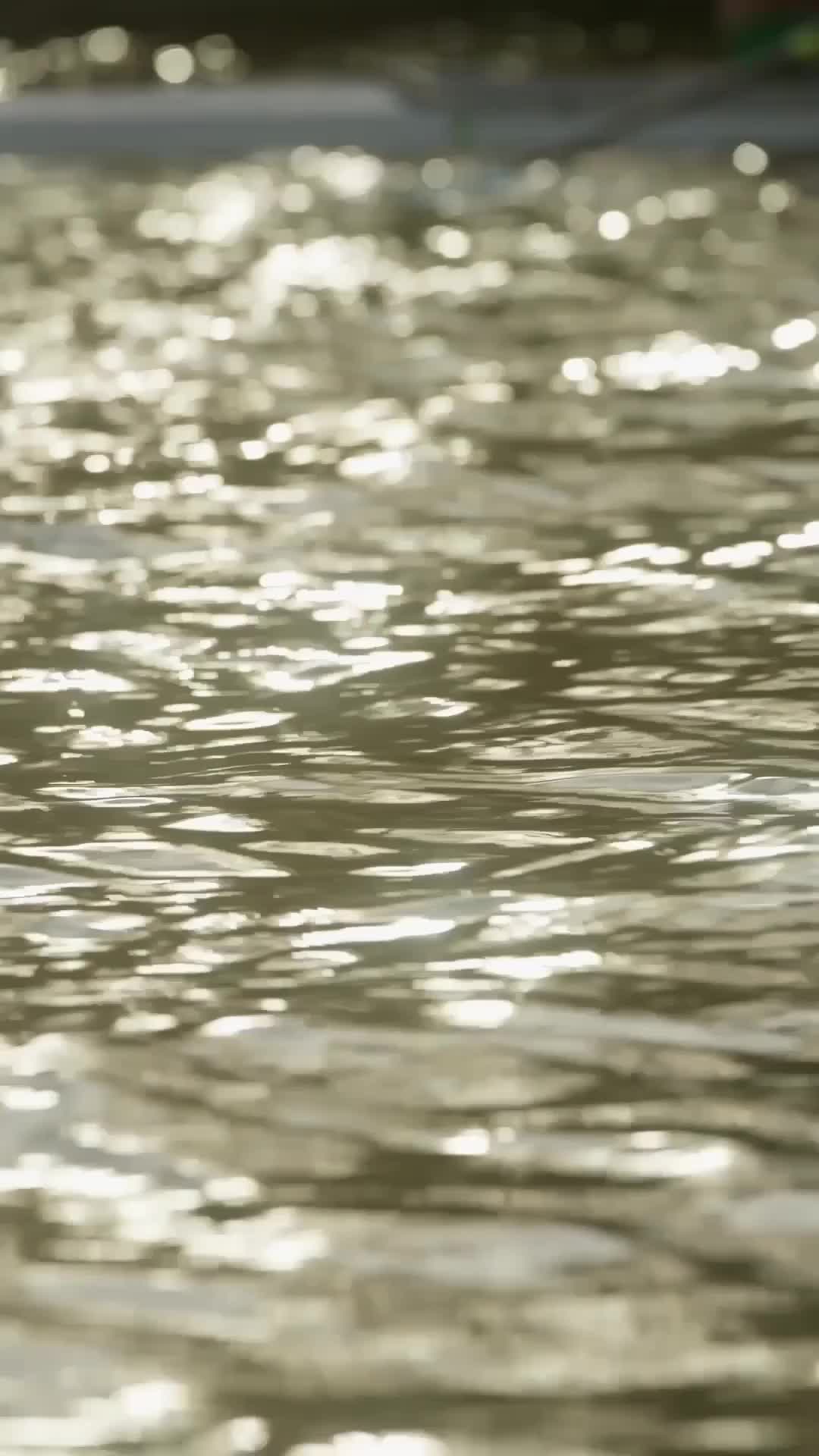 Keeping Secrets with the Rowing Captain Episode 1